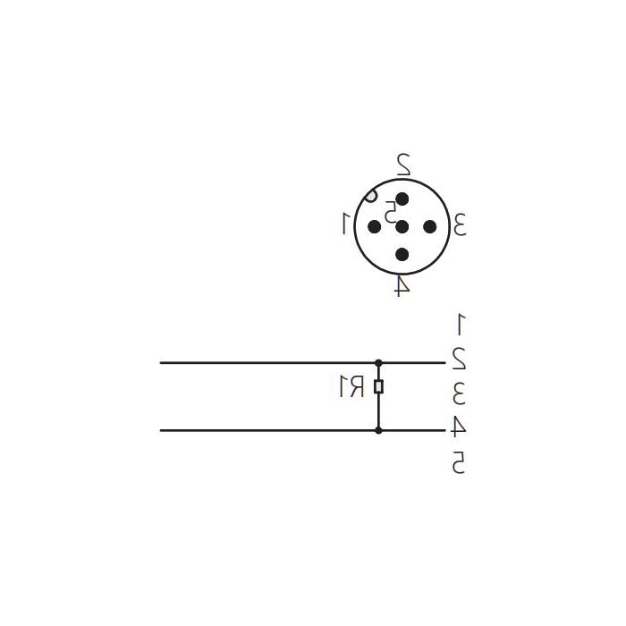 M12 5Pin, straight male, CC-Link terminal resistor, 0C4R31